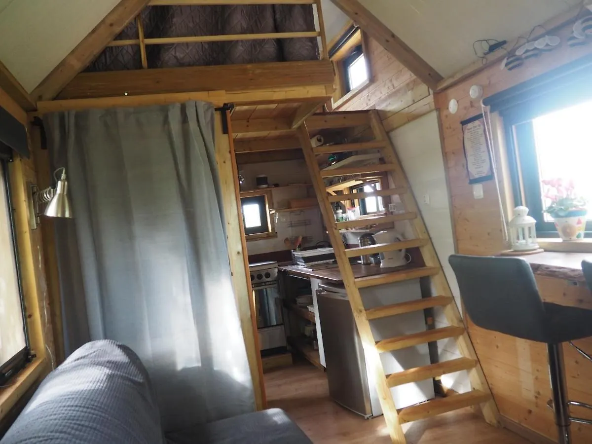 Camping Tiny House Eco Resort Estevais Portugal