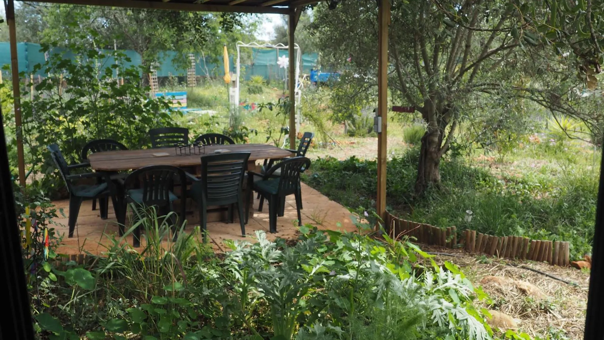 Tiny House Eco Resort Estevais 0*,  Portugal