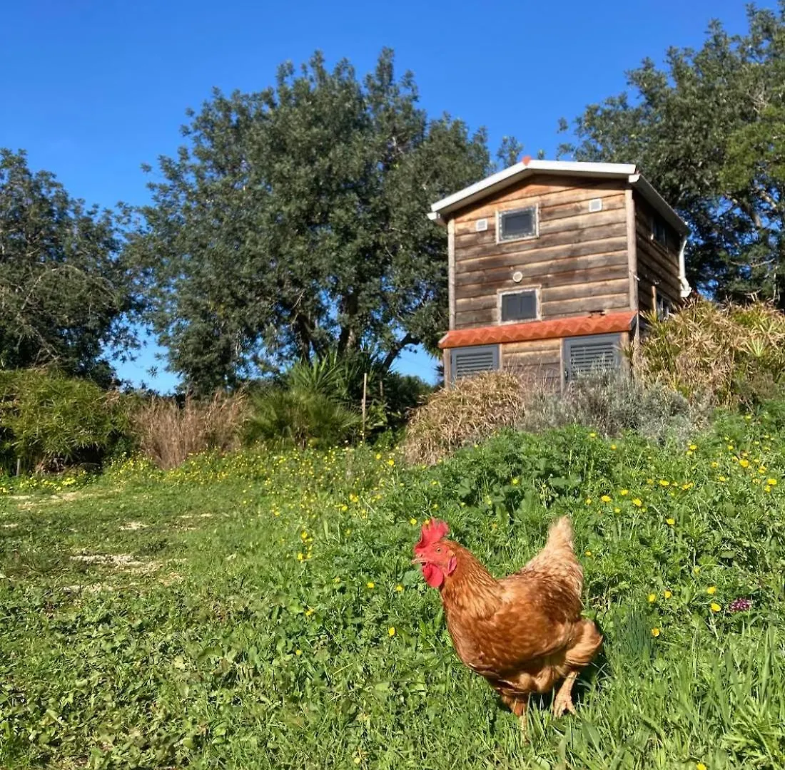 Camping Tiny House Eco Resort Estevais