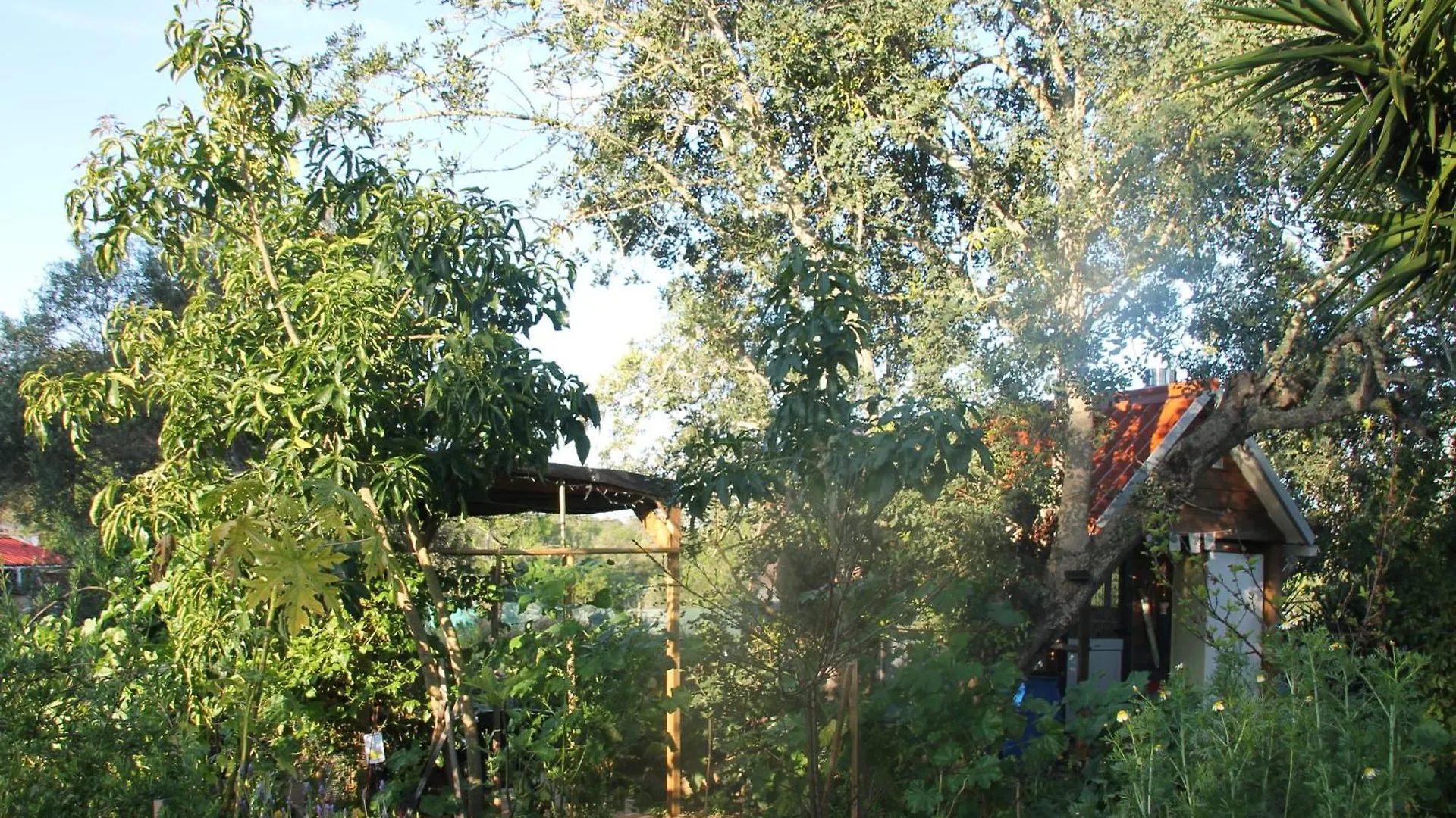 Tiny House Eco Resort Estevais 0*,