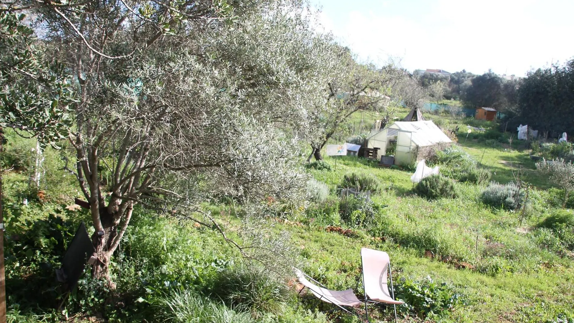 Tiny House Eco Resort Estevais